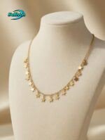 স্টার চেইন